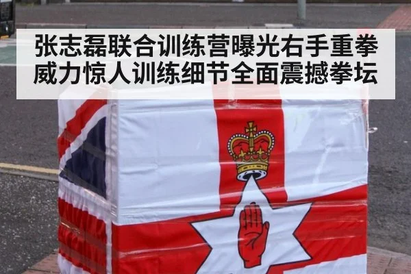 张志磊联合训练营曝光右手重拳威力惊人训练细节全面震撼拳坛